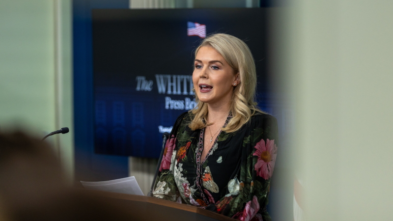 BBC ‘100% Fake News’ – White House