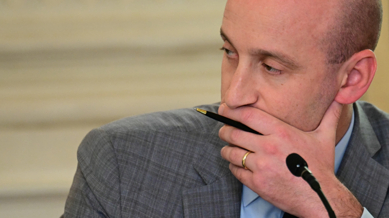 Judges, Democrat Prosecutor Protect Far-Left Activist Who Doxxed, Stalked Stephen Miller