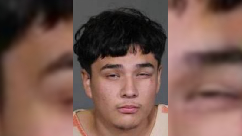 Suspected Illegal Arrested for Hammer Attack on Female Jogger in Texas Park