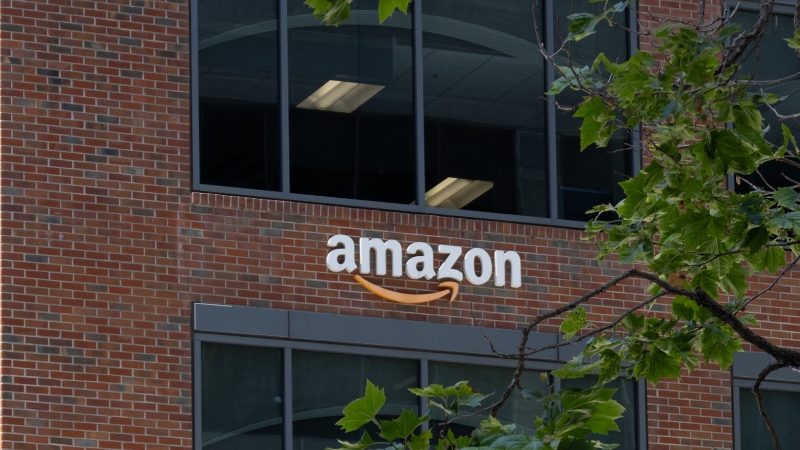 20 States Sue Trump over 0k H-1B Fee