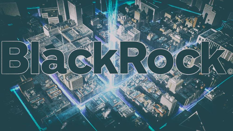 Blackrock Monopolizes The Grid – Exclusive Report!