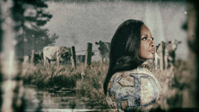 Exclusive Report: Jasmine Crockett’s Crock Of Sh*t Campaign