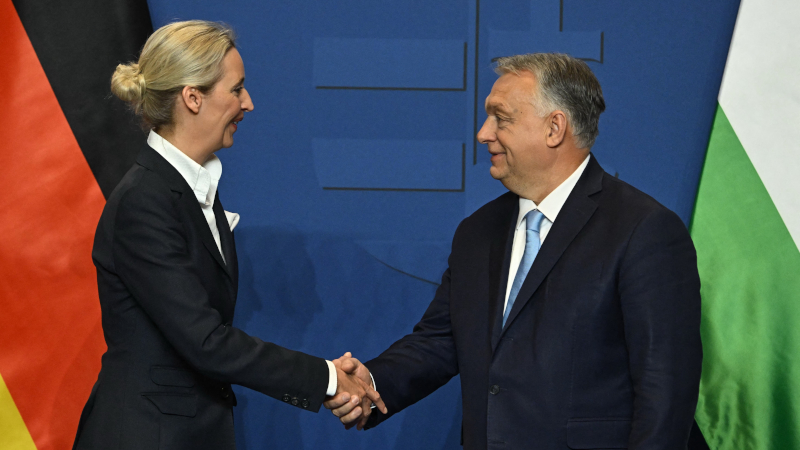 Germany’s AfD Party Tears Down International Firewall, Strengthens Relationships With MAGA, European Leaders