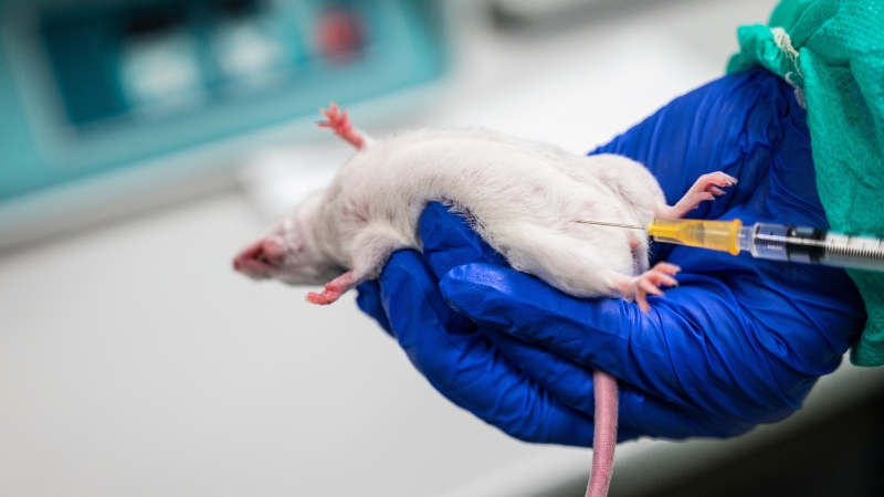 INFOWARS-IMAGES-2026-02-02T165418.902.jp