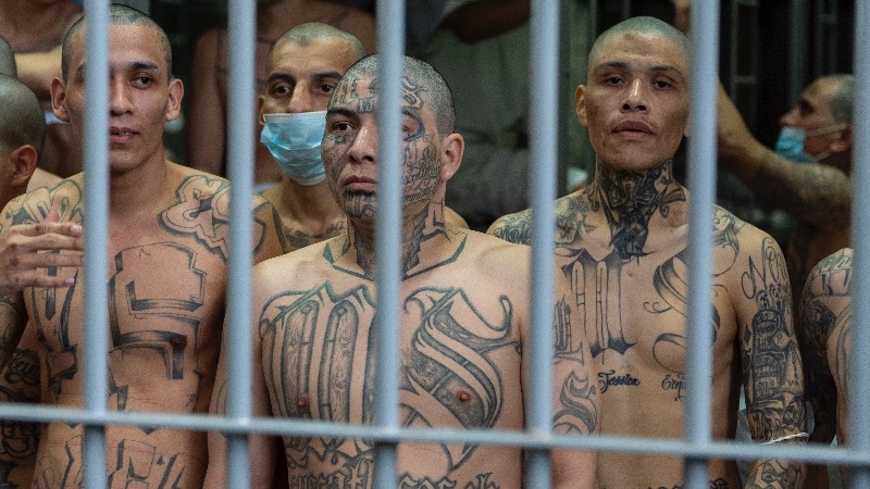 Trump Admin Refuses To Comply With Immigration Court Order