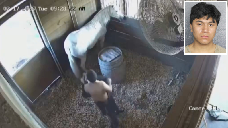 Biden Illegal Arrested for Trying to Steal Prized Horse in Florida