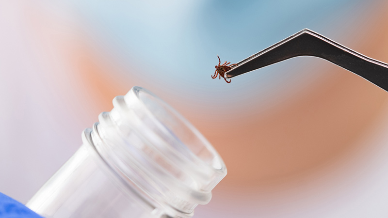 Pfizer Seeks To Introduce Lyme Vaccine, As States Face ‘Worst Tick Season Ever,’ Increase in Alpha-Gal Syndrome Meat Allergies
