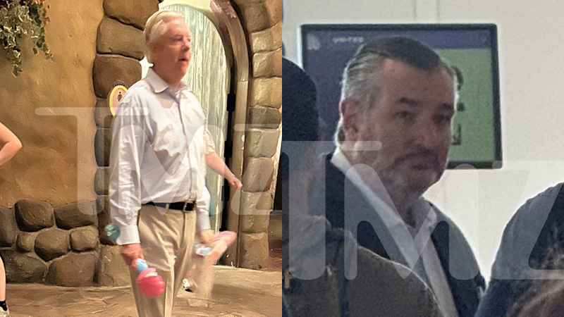 TMZ Catches Sen. Lindsey Graham at Disney World, Ted Cruz Flying to Florida Amid Gov. Shutdown