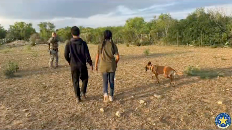 WATCH: K-9 Hunts Down Illegals During High-Speed Chase, Bailout in Texas