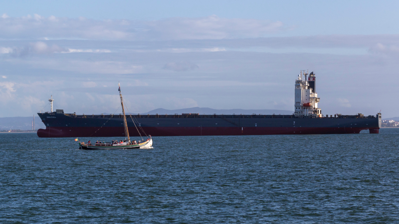 Ukraine Urges Israel to Act Against Russian Ship Carrying ‘Stolen’ Grain to Haifa Port
