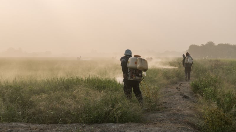 Glyphosate Detected in Human Semen for the First Time at 4x Higher Concentrations than in the Blood