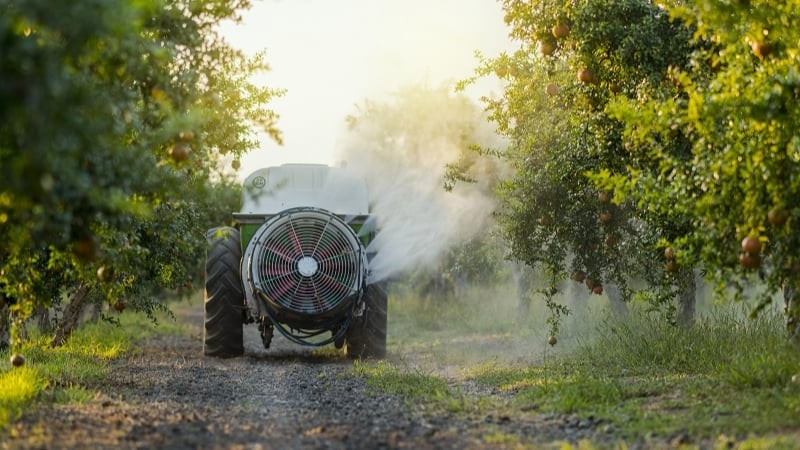 Is Glyphosate Causing Massive Rise in Autism?